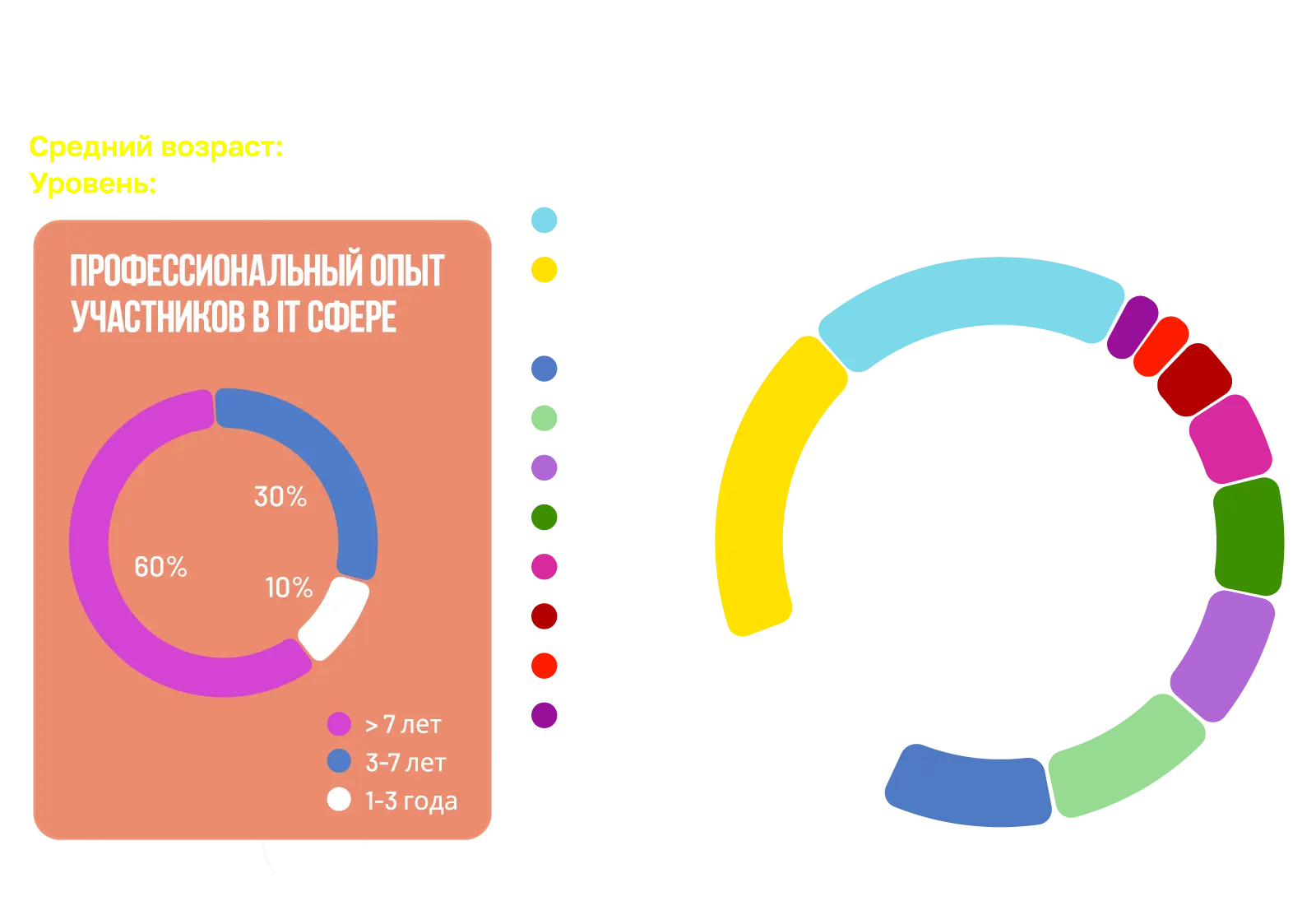 Портрет участника ProIT Fest